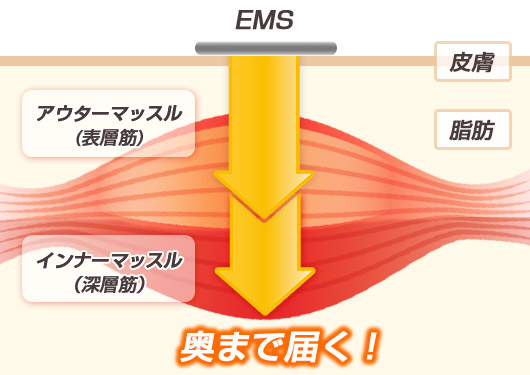 EMSの効果